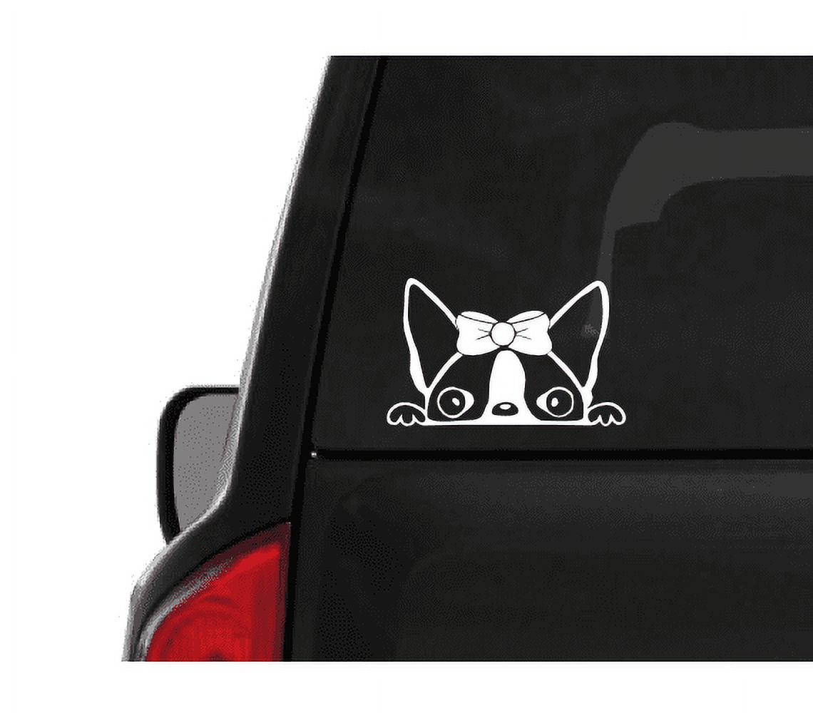 For PERSONALIZED SPORTS SOFTBALL TEAM VINYL DECAL STICKER for CAR TRUCK SUV Car