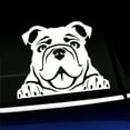 thumbnail image 1 of Peeking Bulldog - Vinyl Car Decal - Choose Color - [WHITE], 1 of 1