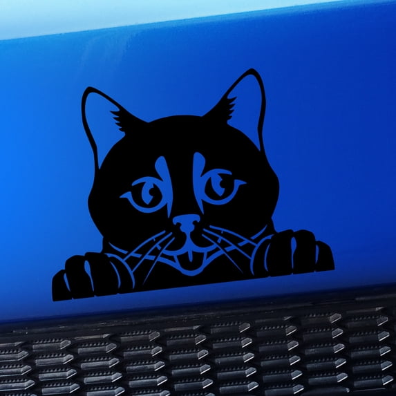 Peeking Cat - Vinyl Car Decal - Choose Color - [BLACK]