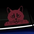 thumbnail image 1 of Peeking Cat - Vinyl Car Decal - Choose Color - [BURGUNDY], 1 of 1