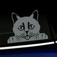 thumbnail image 1 of Peeking Cat - Vinyl Car Decal - Choose Color - [GRAY], 1 of 1