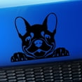 thumbnail image 1 of Peeking Frenchy - French Bulldog - Vinyl Car Decal - Choose Color - [BLACK], 1 of 1