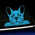 thumbnail image 1 of Peeking Frenchy - French Bulldog - Vinyl Car Decal - Choose Color - [ICE BLUE], 1 of 1
