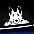 thumbnail image 1 of Peeking German Shepherd - Vinyl Car Decal - Choose Color - [WHITE], 1 of 1