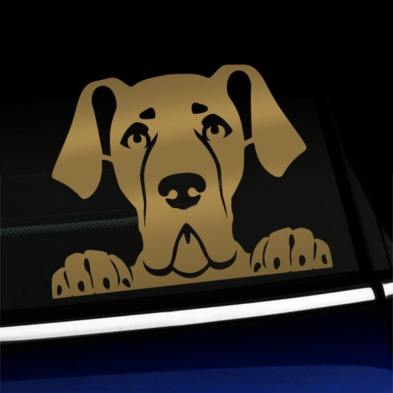 Peeking Great Dane - Vinyl Decal - Choose Color - [GOLD]