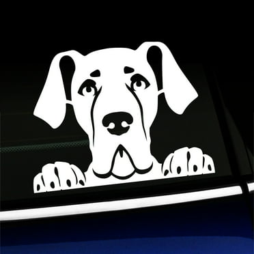 Peeking Great Dane - Vinyl Decal - Choose Color - [WHITE]