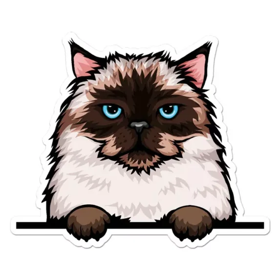 Peeking Himalayan Cat Sticker Indoor Outdoor Phone Decal Water Bottle ...