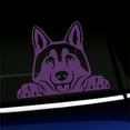 thumbnail image 1 of Peeking Husky - Vinyl Decal - Choose Color - [VIOLET], 1 of 1