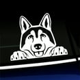 thumbnail image 1 of Peeking Husky - Vinyl Decal - Choose Color - [WHITE], 1 of 1