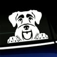thumbnail image 1 of Peeking Schnauzer - Vinyl Decal - Choose Color - [WHITE], 1 of 1