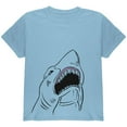 thumbnail image 1 of Peeking Shark Youth T Shirt Light Blue YXL, 1 of 1
