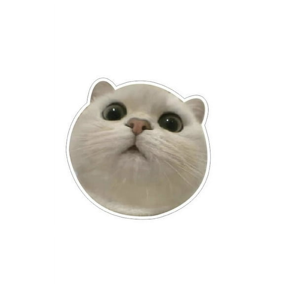 Peeking White Cat Magnifying Face Car Sticker Decal for Car, Bike, Van, RV, SUV