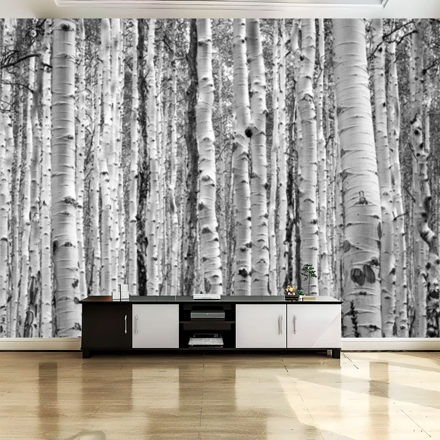 Peel and Stick Canvas Wallpaper Wall Mural Black white aspen trees make ...