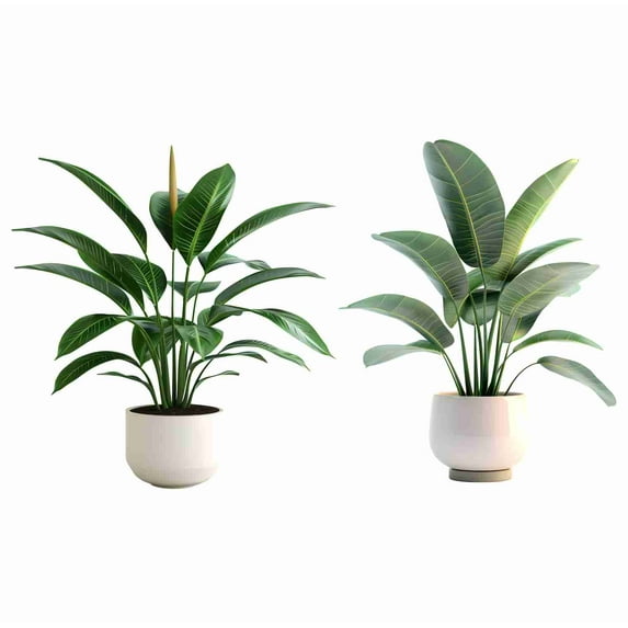 Peel & Stick Vinyl Wall Sticker | Green Potted Plant Wall Décor | Botanical Self Adhesive Mural for Living Room & Kitchen | Size 91 cm by 45 cm