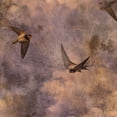 thumbnail image 1 of Peel and Stick Wallpaper Abstract Cloud Patterns Nostalgic Sunset Bird Motif Wall Paper 17.7in x 9.8ft Self Adhesive Removable Renter Friendly Wallpaper for Nursery Bedroom Cabinets, 1 of 8