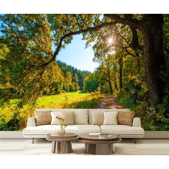 Peel and Stick Wallpaper Autumn atmosphere trees curved way sun blue sky sunset romantic light Modern Art Wall Mural Decor Self Adhesive and Removable 69in x 98in