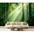 thumbnail image 1 of Peel and Stick Wallpaper Beautiful Forest Wall Mural Decor Tall Pine Trees Sunlight Beams Dense Modern Art Wall Mural Decor Self Adhesive and Removable 69in x 98in, 1 of 8