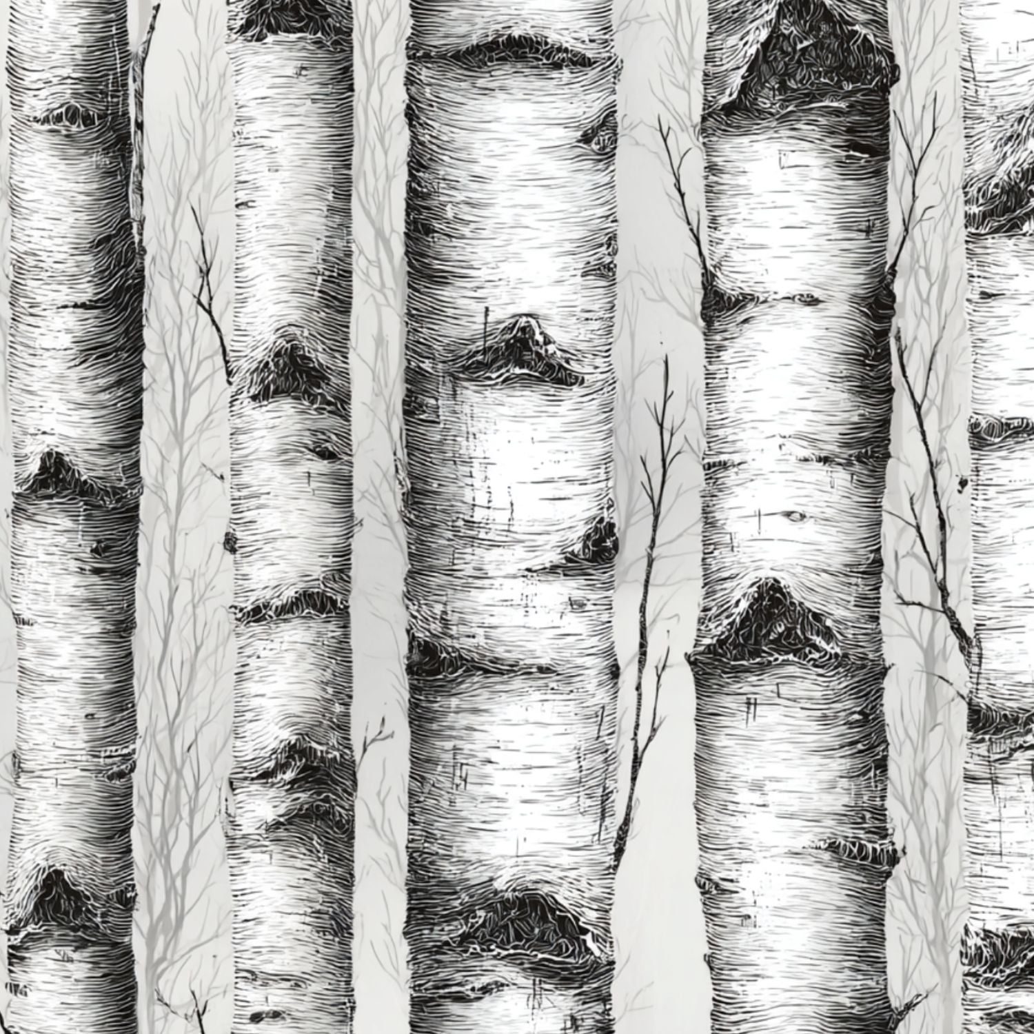 Peel and Stick Wallpaper Black White Birch Tree Trunks Detailed Bark ...
