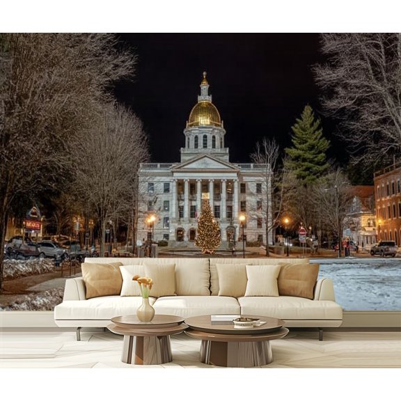 Peel and Stick Wallpaper Capitole du New Hampshire Architecture Bare Tree Beauty Building Modern Art Wall Mural Decor Self Adhesive and Removable 69in x 98in