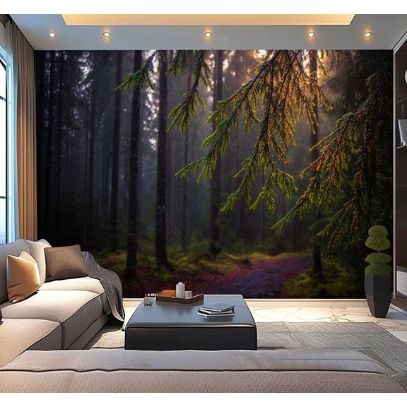 Peel and Stick Wallpaper Dawn national park Smolensk lakeland sun s rays fall road grass trees Modern Art Wall Mural Decor Self Adhesive and Removable 100in x 144in