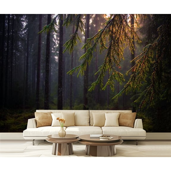 Peel and Stick Wallpaper Dawn national park Smolensk lakeland sun s rays fall road grass trees Modern Art Wall Mural Decor Self Adhesive and Removable 69in x 98in