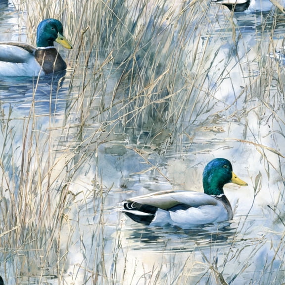 Peel and Stick Wallpaper Delicate Botanical Ducks Peaceful Wetland Watercolor Wall Mural 17.7in x 9.8ft Self Adhesive Removable Wall Paper Renter Friendly Wallpaper for Farmhouse Bedroom