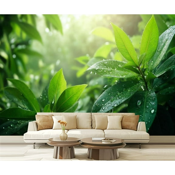 Peel and Stick Wallpaper Dewdrops Green Leaf Botanical Forest Sunlight 3D Nature Living Room Modern Art Wall Mural Decor Self Adhesive and Removable 69in x 98in
