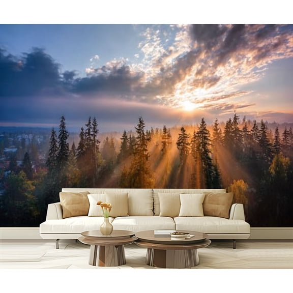 Peel and Stick Wallpaper Foggy green pine forest canopies spruce trees sunrise rays shining Modern Art Wall Mural Decor Self Adhesive and Removable 69in x 98in