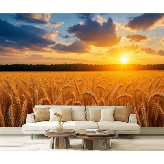 Peel and Stick Wallpaper Golden Wheat Field Sunset Agricultural Scene Setting Sun Dramatic Modern Art Wall Mural Decor Self Adhesive and Removable 69in x 98in