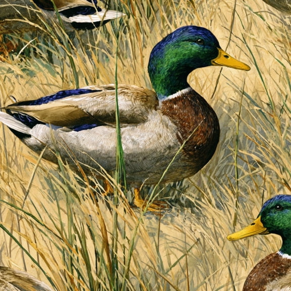 Peel and Stick Wallpaper Peaceful Wetland Watercolor Mallard Ducks Grasses Hunting Wall Mural 23.6in x 9.8ft Self Adhesive Removable Wall Paper Renter Friendly Wallpaper for Farmhouse Bedroom