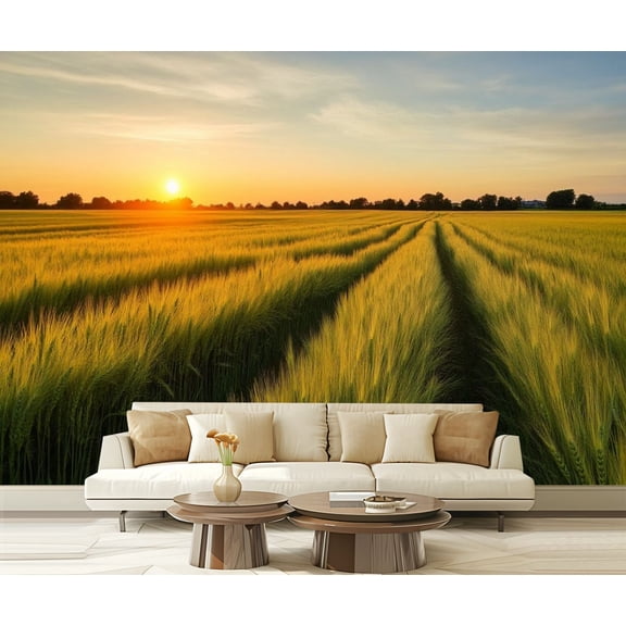 Peel and Stick Wallpaper Rural Landscape Wheat Field Sunset Golden Wheat Wide Field Distant Modern Art Wall Mural Decor Self Adhesive and Removable 69in x 98in