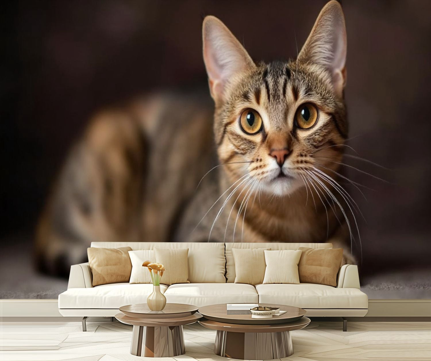 Peel and Stick Wallpaper Tabby Cat Animal Kitten Kitten Poster Cat Whiskers Expressive Eyes Modern Art Wall Mural Decor Self Adhesive and Removable 69in x 98in