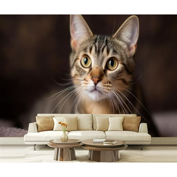 Peel and Stick Wallpaper Tabby Cat Animal Kitten Kitten Poster Cat Whiskers Expressive Eyes Modern Art Wall Mural Decor Self Adhesive and Removable 69in x 98in