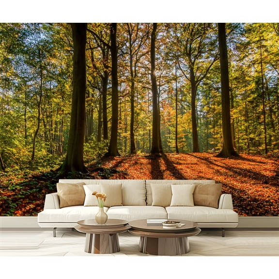 Peel and Stick Wallpaper Wonderful sunny day autumn sunlight coming trees shadows leaves ground Modern Art Wall Mural Decor Self Adhesive and Removable 69in x 98in