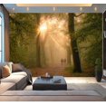 thumbnail image 1 of Peel and Stick Wallpaper sunbeams trees forest path sunrise Cape Forests Utrechtse Heuvelrug Modern Art Wall Mural Decor Self Adhesive and Removable 100in x 144in, 1 of 8