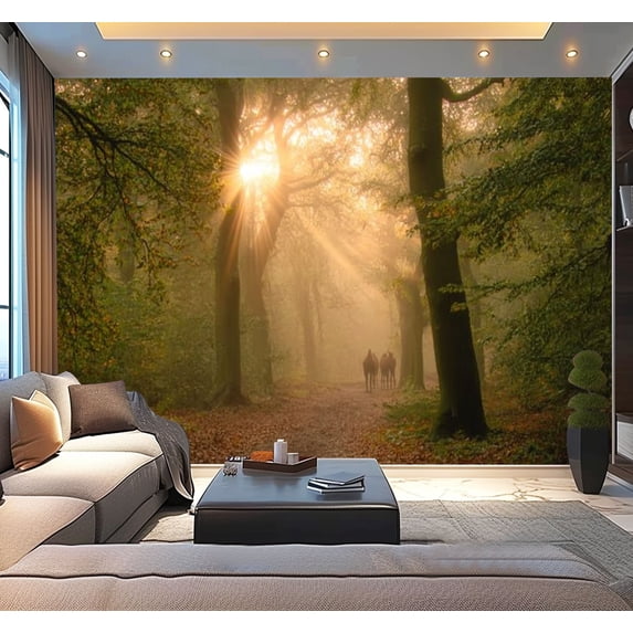 Peel and Stick Wallpaper sunbeams trees forest path sunrise Cape Forests Utrechtse Heuvelrug Modern Art Wall Mural Decor Self Adhesive and Removable 100in x 144in