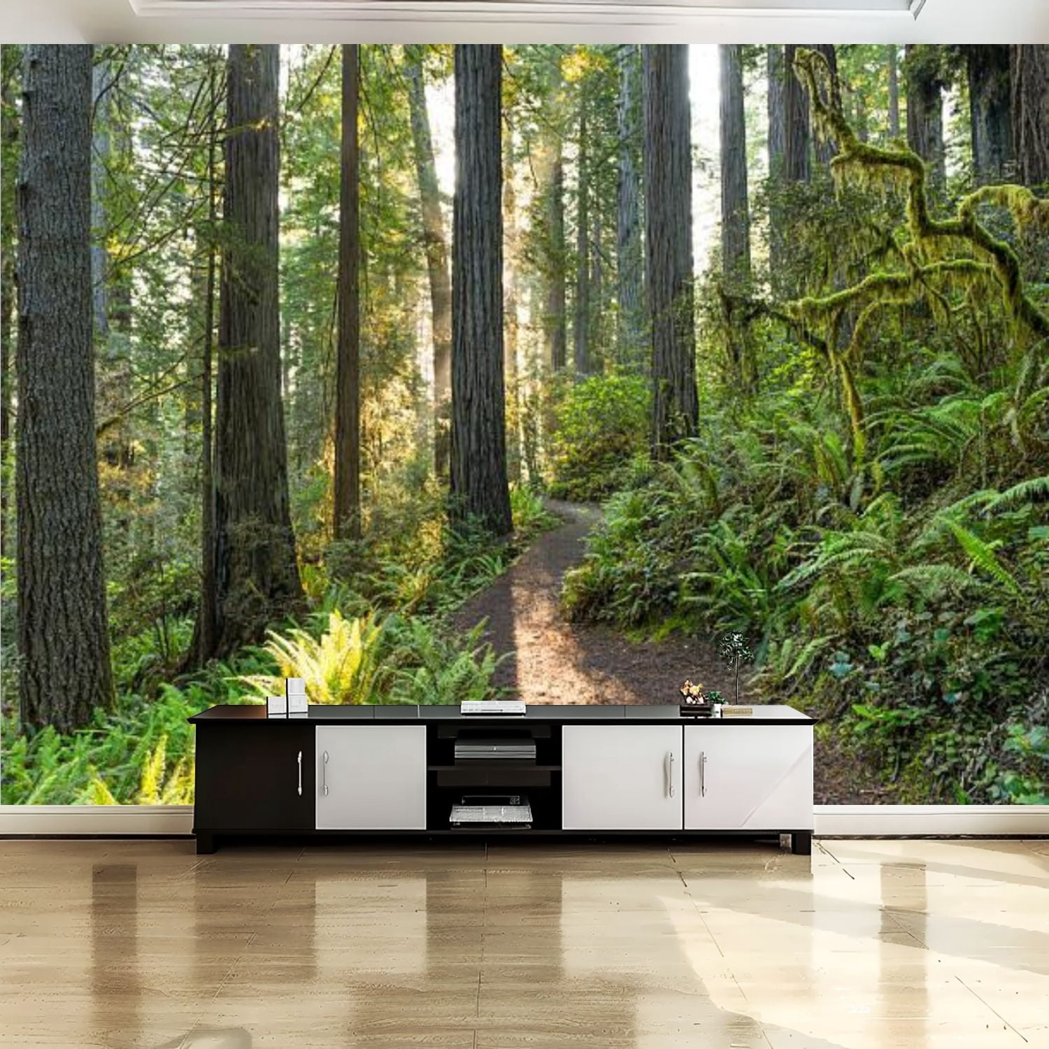 Peel and Stick Canvas Wallpaper Wall Mural Redwood National Park Wall ...