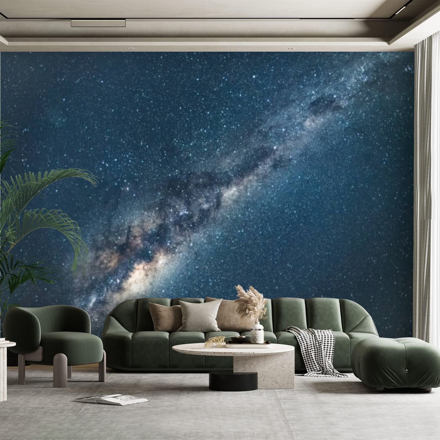 Peel and Stick Canvas Wallpaper Wall Mural emu Milky Way Sky Wall Art ...