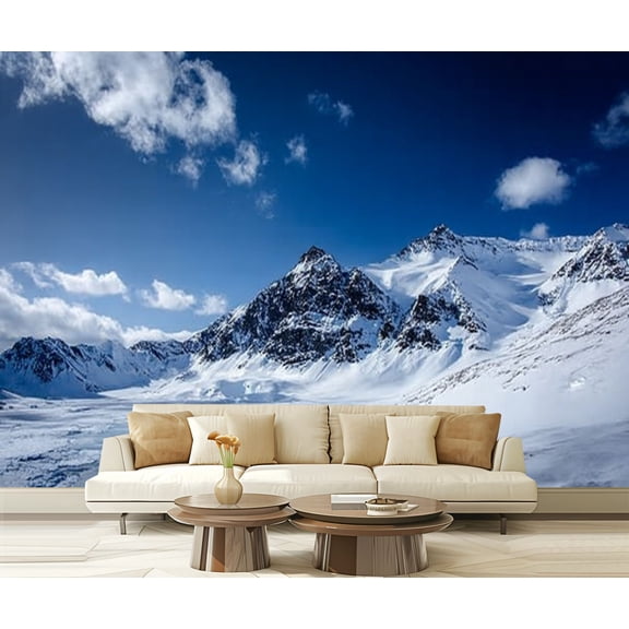 Peel and Stick Wallpaper Arctic spring south Spitsbergen Modern Art Wall Mural Decor Self Adhesive and Removable 69in x 98in