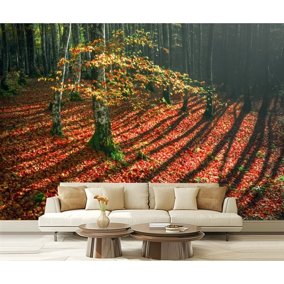 Peel and Stick Wallpaper Autumn light shadow Modern Art Wall Mural Decor Self Adhesive and Removable 69in x 98in
