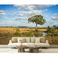 thumbnail image 1 of Peel and Stick Wallpaper Canvas African landscape tree Kenya Modern Art Wall Mural Decor Self Adhesive and Removable 69in x 98in, 1 of 6