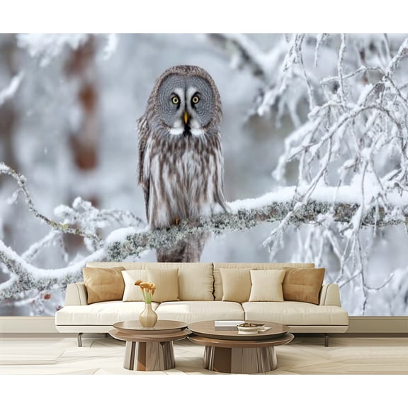Peel and Stick Wallpaper Close up Great Grey Owl perched tree winter Modern Art Wall Mural Decor Self Adhesive and Removable 69in x 98in