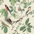 thumbnail image 1 of Peel and Stick Wallpaper Contact Paper Vintage Botanical Bird Colorful Songbirds Green Foliage Self Adhesive and Removable 24in x 118in, 1 of 8