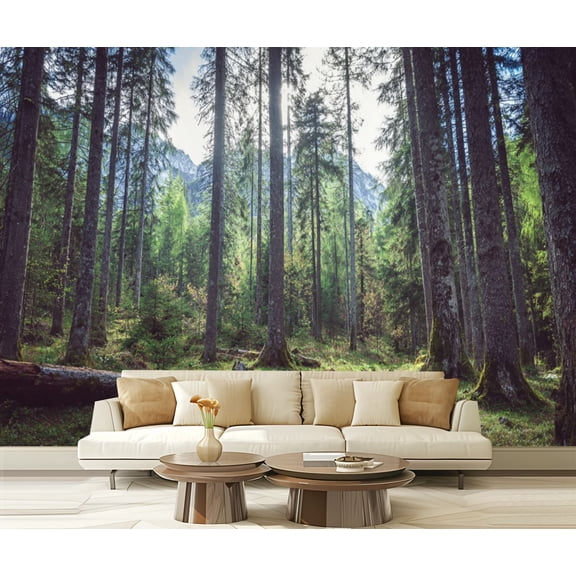 Peel and Stick Wallpaper Forest Alps Modern Art Wall Mural Decor Self Adhesive and Removable 69in x 98in