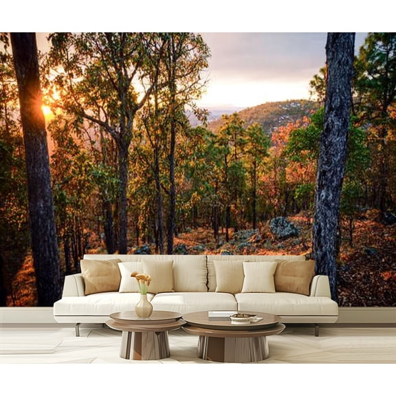 Peel and Stick Wallpaper Forest autumn sunset mount Escobedo Zacatecas Modern Art Wall Mural Decor Self Adhesive and Removable 69in x 98in
