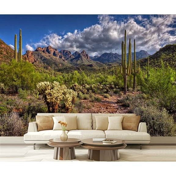 Peel and Stick Wallpaper Hewitt Canyon Modern Art Wall Mural Decor Self Adhesive and Removable 69in x 98in