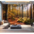 thumbnail image 1 of Peel and Stick Wallpaper Kaltenhofer Moor Schleswig Holstein Germany Modern Art Wall Mural Decor Self Adhesive and Removable 100in x 144in, 1 of 8