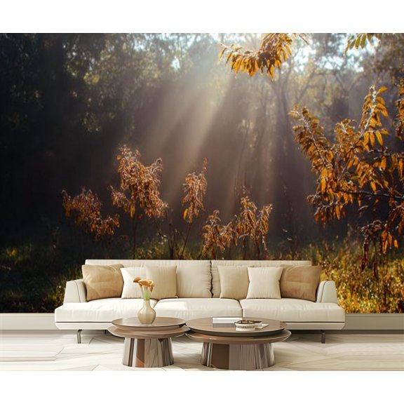 Peel and Stick Wallpaper Morning forest Dew grass Modern Art Wall Mural Decor Self Adhesive and Removable 69in x 98in