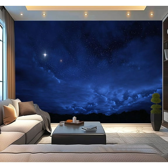 Peel and Stick Wallpaper Night sky filled stars Modern Art Wall Mural Decor Self Adhesive and Removable 100in x 144in