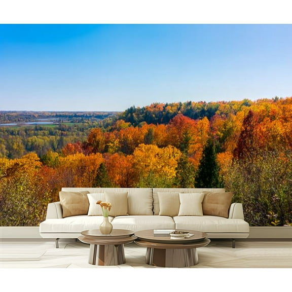 Peel and Stick Wallpaper Sun Beaming Autumn Foliage Milton Modern Art Wall Mural Decor Self Adhesive and Removable 69in x 98in